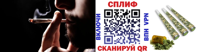 Где купить Шенкурск Канабис  A-PVP  Гашиш  МЕФ  АМФ  Кокаин 
