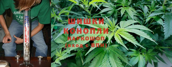 PSILOCYBIN Балахна