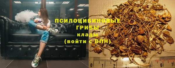 сатива Балабаново