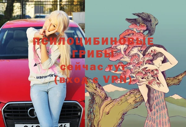 стафф Баксан