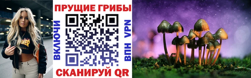 Галлюциногенные грибы мухоморы  Шенкурск 